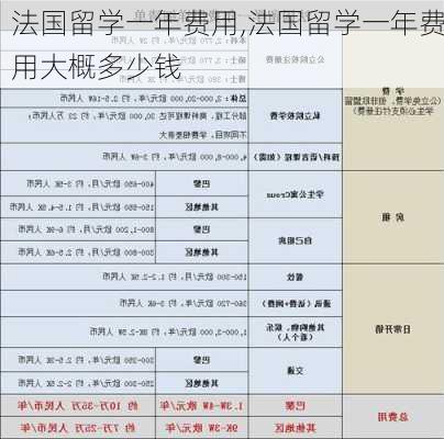 法国留学一年费用,法国留学一年费用大概多少钱