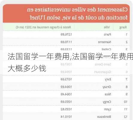 法国留学一年费用,法国留学一年费用大概多少钱