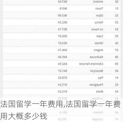 法国留学一年费用,法国留学一年费用大概多少钱