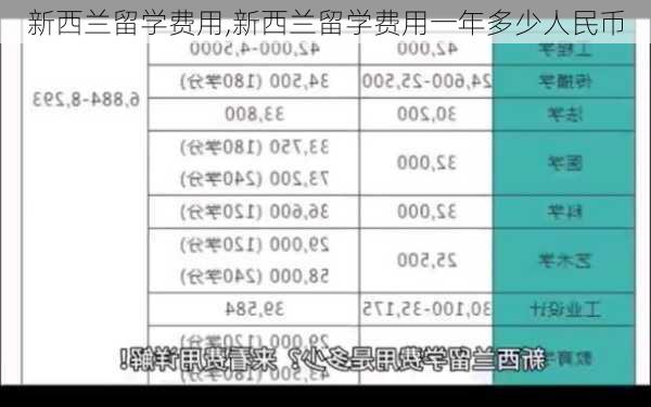 新西兰留学费用,新西兰留学费用一年多少人民币