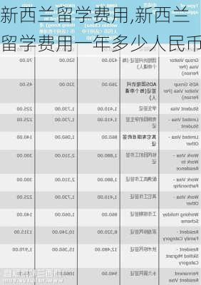 新西兰留学费用,新西兰留学费用一年多少人民币