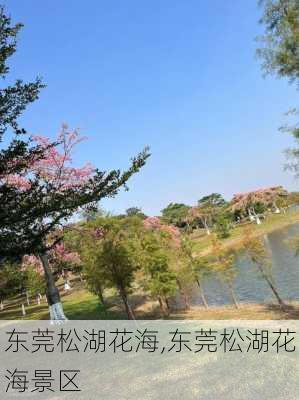 东莞松湖花海,东莞松湖花海景区