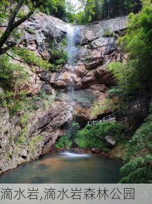 滴水岩,滴水岩森林公园