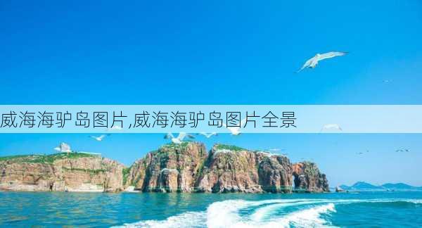 威海海驴岛图片,威海海驴岛图片全景