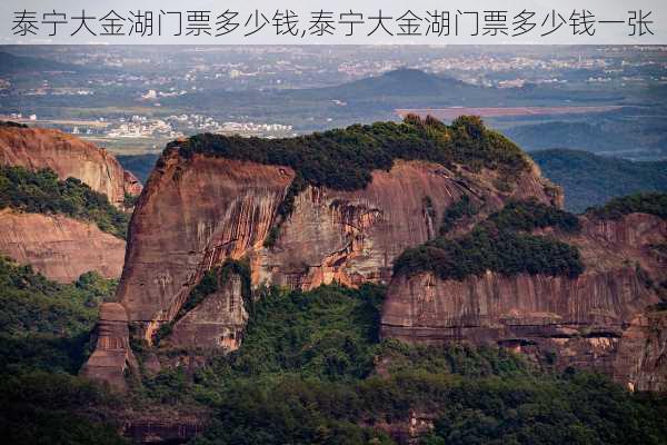 泰宁大金湖门票多少钱,泰宁大金湖门票多少钱一张