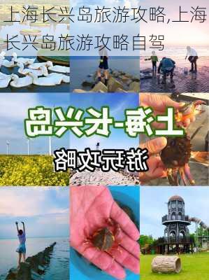 上海长兴岛旅游攻略,上海长兴岛旅游攻略自驾