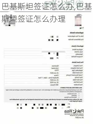 巴基斯坦签证怎么办,巴基斯坦签证怎么办理