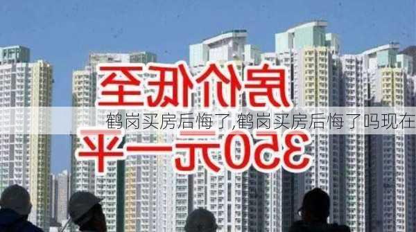 鹤岗买房后悔了,鹤岗买房后悔了吗现在