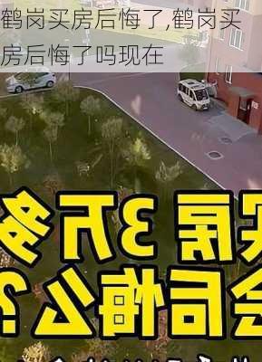 鹤岗买房后悔了,鹤岗买房后悔了吗现在