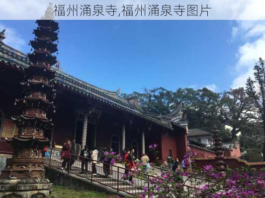 福州涌泉寺,福州涌泉寺图片