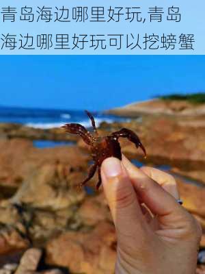 青岛海边哪里好玩,青岛海边哪里好玩可以挖螃蟹