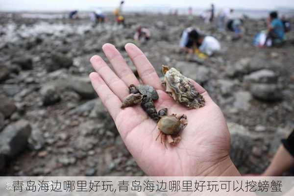 青岛海边哪里好玩,青岛海边哪里好玩可以挖螃蟹