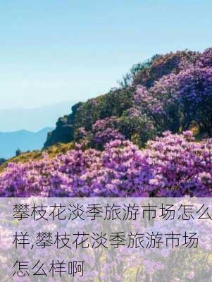 攀枝花淡季旅游市场怎么样,攀枝花淡季旅游市场怎么样啊