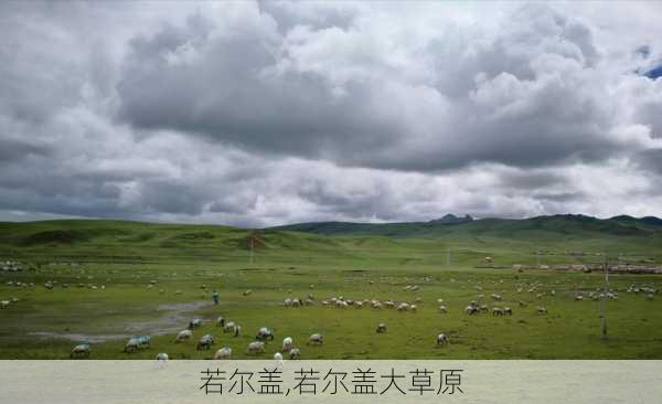 若尔盖,若尔盖大草原