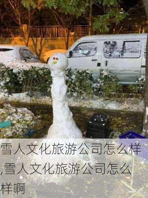 雪人文化旅游公司怎么样,雪人文化旅游公司怎么样啊