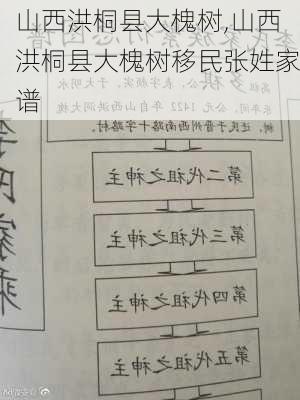 山西洪桐县大槐树,山西洪桐县大槐树移民张姓家谱