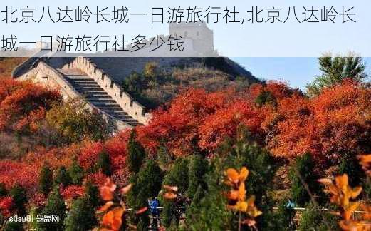 北京八达岭长城一日游旅行社,北京八达岭长城一日游旅行社多少钱