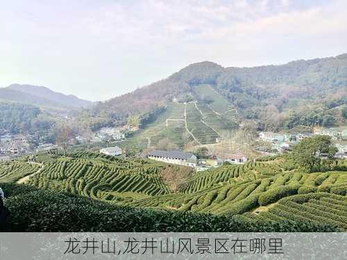 龙井山,龙井山风景区在哪里