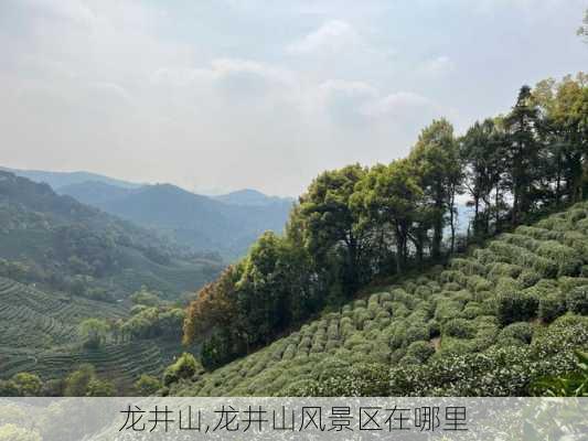 龙井山,龙井山风景区在哪里