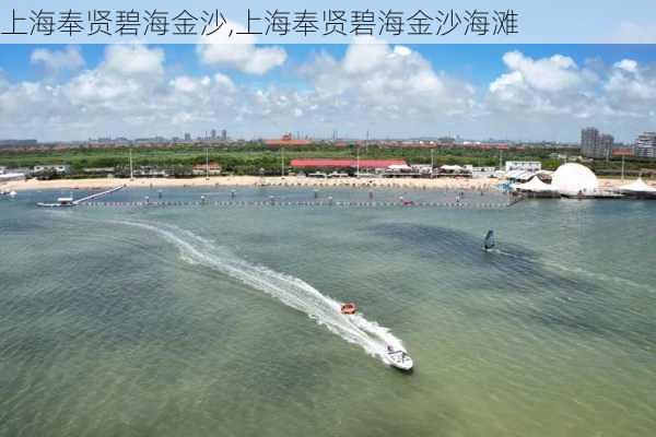 上海奉贤碧海金沙,上海奉贤碧海金沙海滩