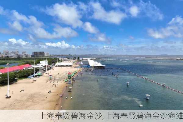 上海奉贤碧海金沙,上海奉贤碧海金沙海滩