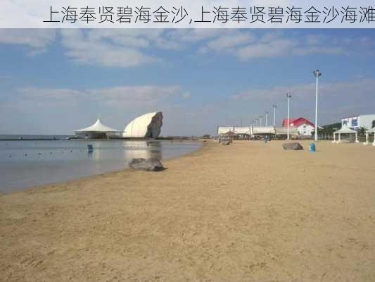 上海奉贤碧海金沙,上海奉贤碧海金沙海滩