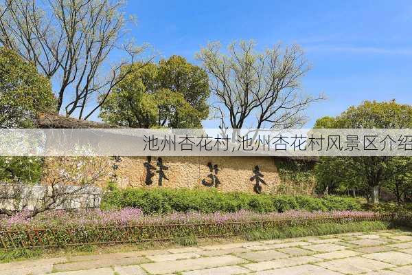 池州杏花村,池州杏花村风景区介绍