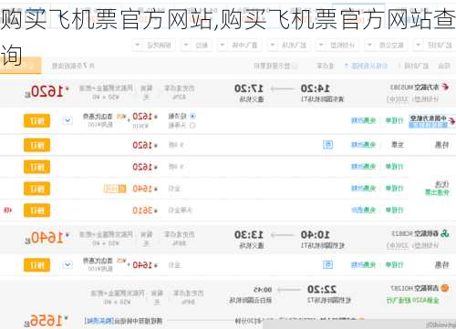 购买飞机票官方网站,购买飞机票官方网站查询