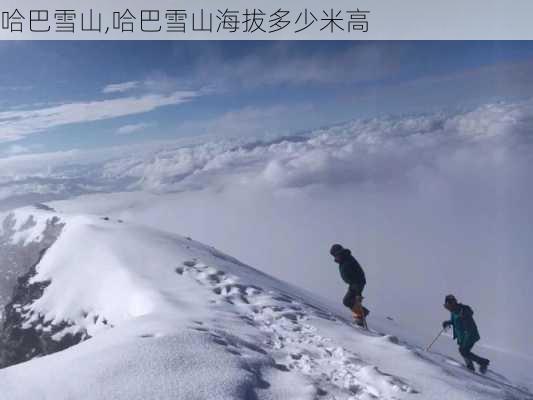 哈巴雪山,哈巴雪山海拔多少米高