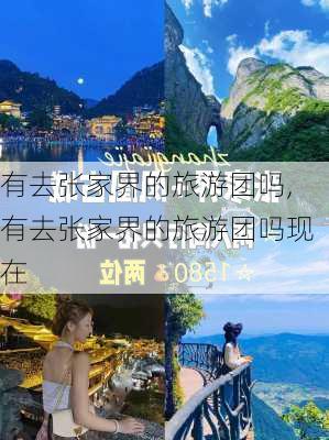 有去张家界的旅游团吗,有去张家界的旅游团吗现在