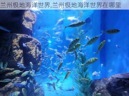 兰州极地海洋世界,兰州极地海洋世界在哪里