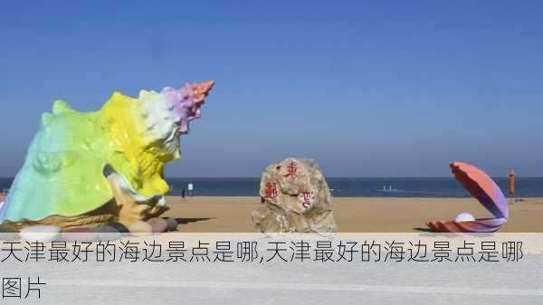 天津最好的海边景点是哪,天津最好的海边景点是哪图片