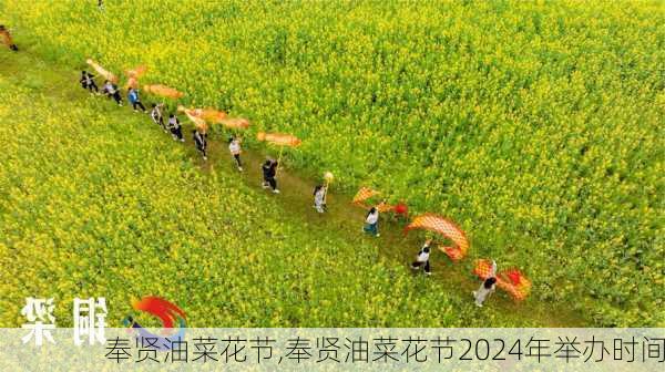 奉贤油菜花节,奉贤油菜花节2024年举办时间