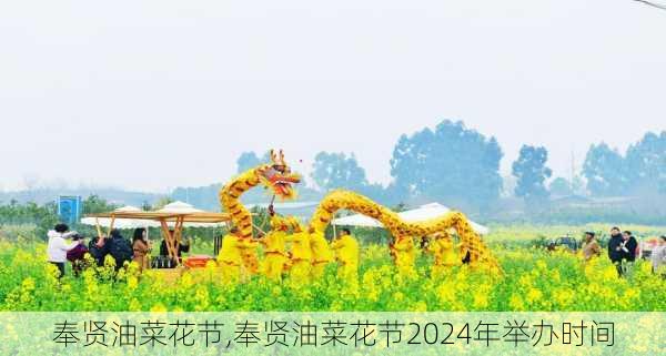 奉贤油菜花节,奉贤油菜花节2024年举办时间