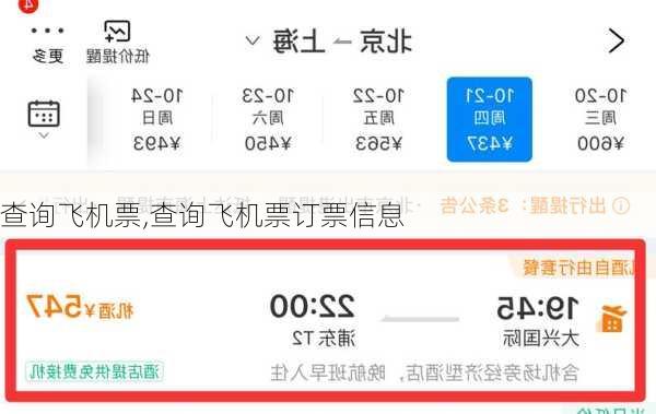 查询飞机票,查询飞机票订票信息