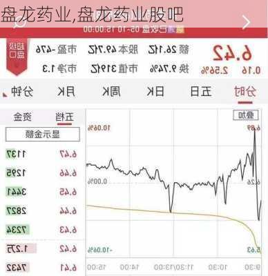 盘龙药业,盘龙药业股吧