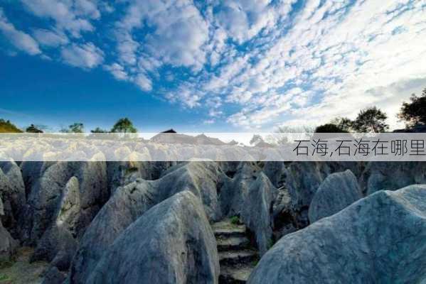 石海,石海在哪里