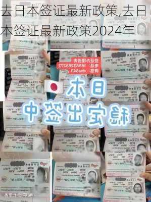 去日本签证最新政策,去日本签证最新政策2024年