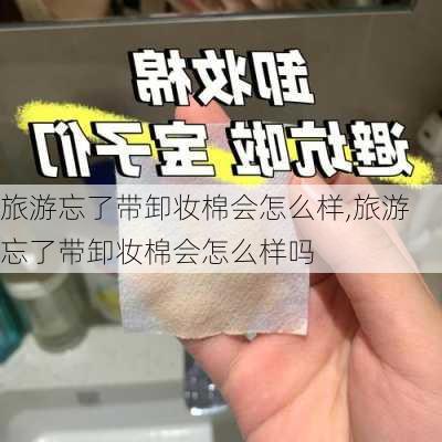 旅游忘了带卸妆棉会怎么样,旅游忘了带卸妆棉会怎么样吗