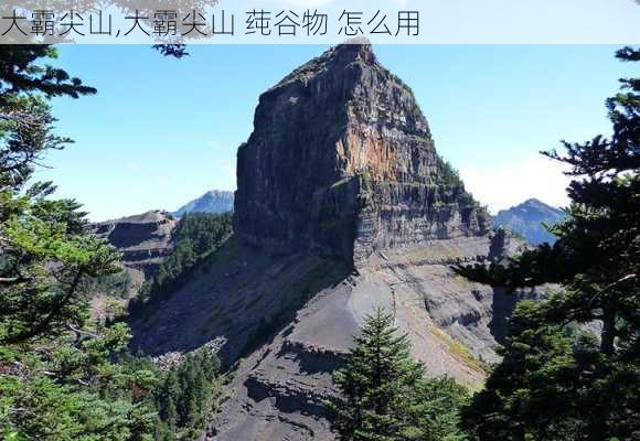 大霸尖山,大霸尖山 莼谷物 怎么用