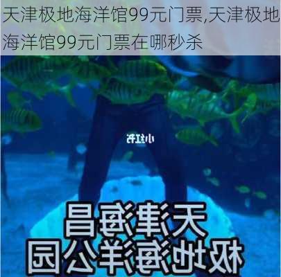 天津极地海洋馆99元门票,天津极地海洋馆99元门票在哪秒杀