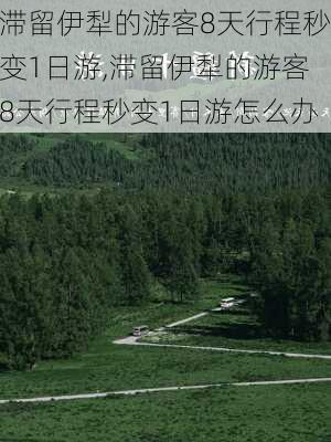 滞留伊犁的游客8天行程秒变1日游,滞留伊犁的游客8天行程秒变1日游怎么办