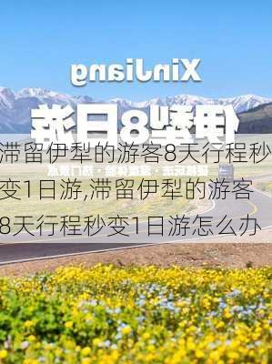 滞留伊犁的游客8天行程秒变1日游,滞留伊犁的游客8天行程秒变1日游怎么办