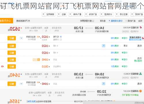 订飞机票网站官网,订飞机票网站官网是哪个