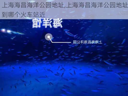 上海海昌海洋公园地址,上海海昌海洋公园地址到哪个火车站近