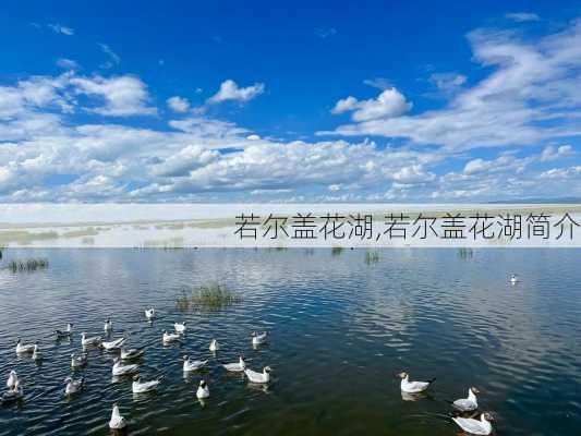 若尔盖花湖,若尔盖花湖简介