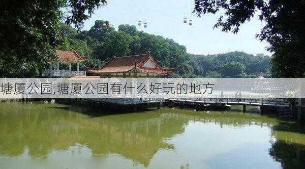 塘厦公园,塘厦公园有什么好玩的地方