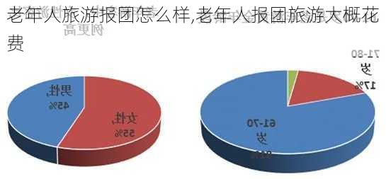 老年人旅游报团怎么样,老年人报团旅游大概花费