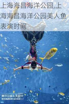 上海海昌海洋公园,上海海昌海洋公园美人鱼表演时间