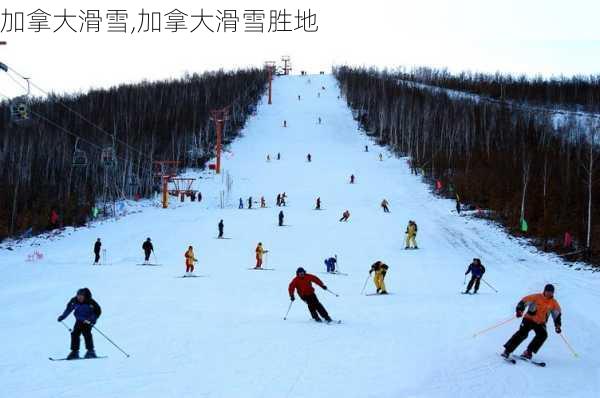 加拿大滑雪,加拿大滑雪胜地